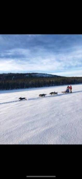 Northern Light Huts - Paradise Lapland Кіруна Екстер'єр фото