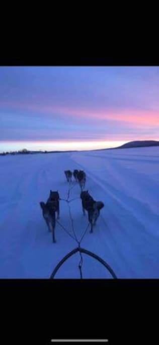 Northern Light Huts - Paradise Lapland Кіруна Екстер'єр фото